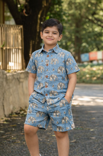Elephant Print Blue Pure Cotton Kids CO-ORD SET